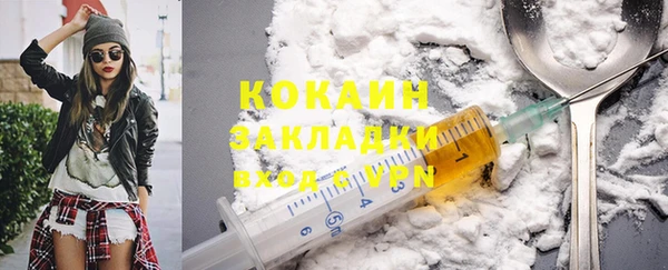 сатива Заводоуковск